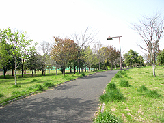 舎人公園